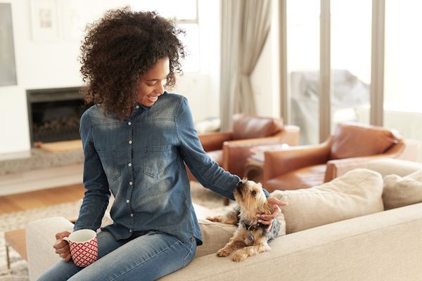 Dog being petted, showing Ritiro Apartments is a pet-friendly community